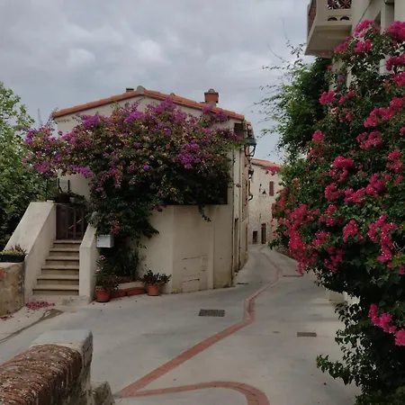 아파트 Le Reve Mediteranneen, Vue Sur La Et Piscine 카네트